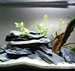 Aquarium Schwarzer Schieferbruch