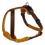 HUNTER Neopren Geschirr Test