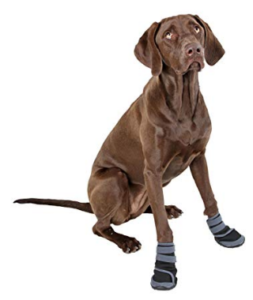 Hundeschuhe Vergleich