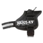 Julius-K9 Powergeschirr Test