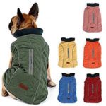 TFENG Hundejacke Hundemantel Test